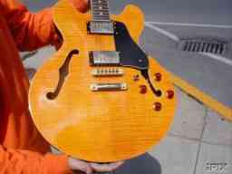 Hamer Echotone GCECO Aztec Gold (2) new.jpg